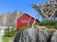 Kurzer Zwischenstopp und Rundgang in Hamnøya 