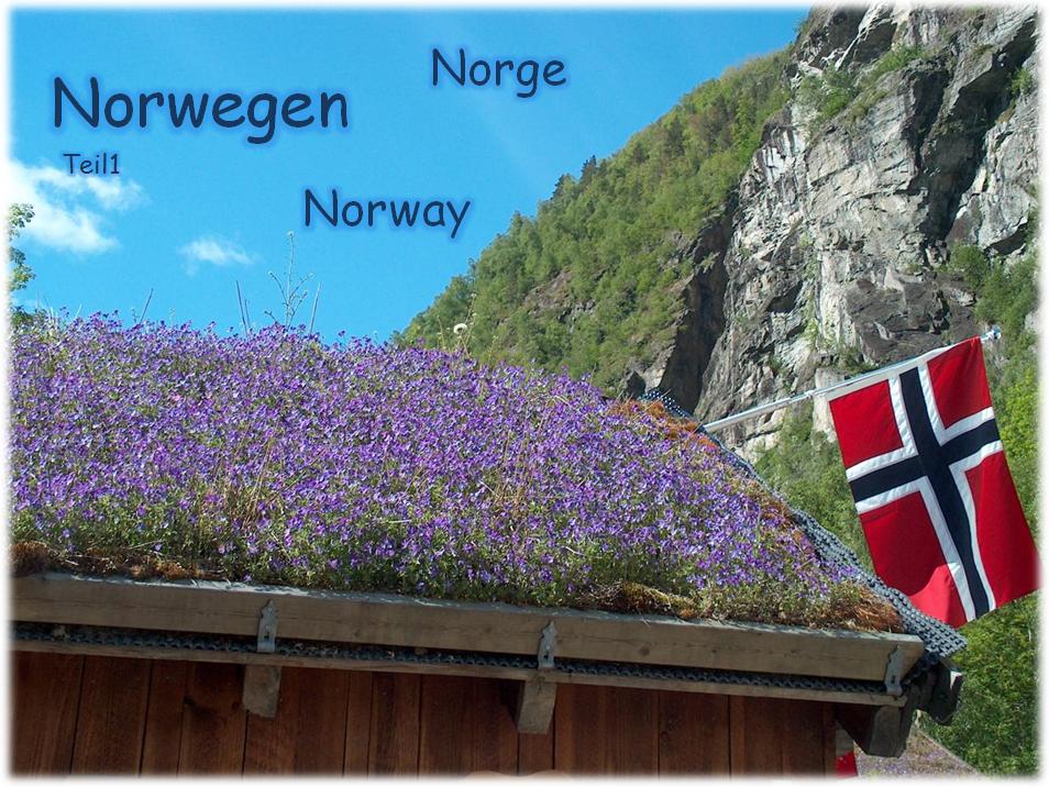 Zum Download von Norwegen Teil 1  ins Bild klicken - wmv-Datei 17,9 MB