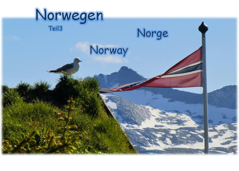Zum Download von Norwegen Teil 3 ins Bild klicken - wmv-Datei 20,5MB