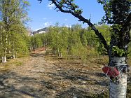 Der Wanderweg zum etwa 2,5 km entfernten Fosselvfossen (Fosselvwasserfall) beginnt am Fosselv-Camping ist mit roten Schildern markiert.